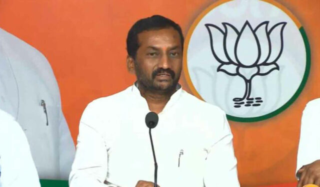 raghunandan-rao-gokul-chat-vs-government-job-comments-controversy