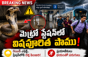 రెయిన్ ఎఫెక్ట్.. మెట్రో స్టేషన్లో విషపూరిత ‘రక్త పింజరి’ పాము కలకలం