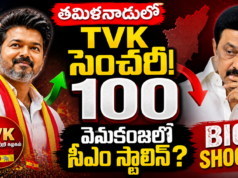BREAKING : తమిళనాడులో సెంచరీ కొట్టిన టీవీకే.. వెనుకంజలో సీఎం స్టాలిన్