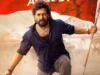 100 కోట్ల క్లబ్లోకి అఖిల్.. ‘లెనిన్’ ఓటీటీ రిలీజ్ డేట్ ఫిక్స్.. ఎక్కడ చూడొచ్చంటే?