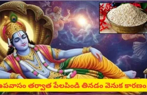 తొలి ఏకాదశి స్పెషల్: శ్రీహరికి అత్యంత ప్రీతిపాత్రమైన పేలపిండి.. ఈ నైవేద్యం వెనుక ఉన్న విశేషాలు ఇవే!