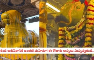 దేవుడా!.. ఆగస్టు 10 త్రయోదశి మహిమాన్వితం.. నందికి ఈ అభిషేకం చేస్తే శివకటాక్షం కలుగుతుందా?